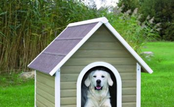 Hundebox mit eigenen Händen